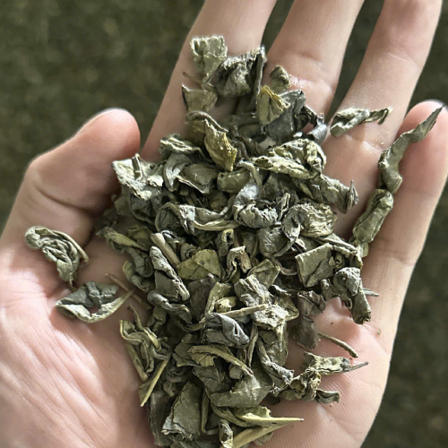 Green Tea – Grade 2