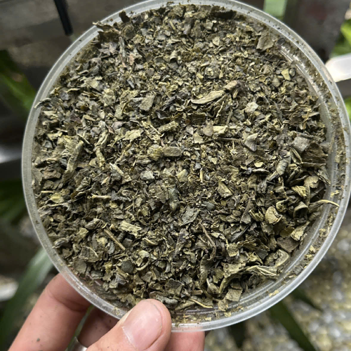 Green Tea – Grade 6