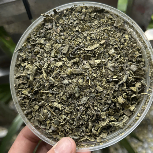 Green Tea – Grade 7
